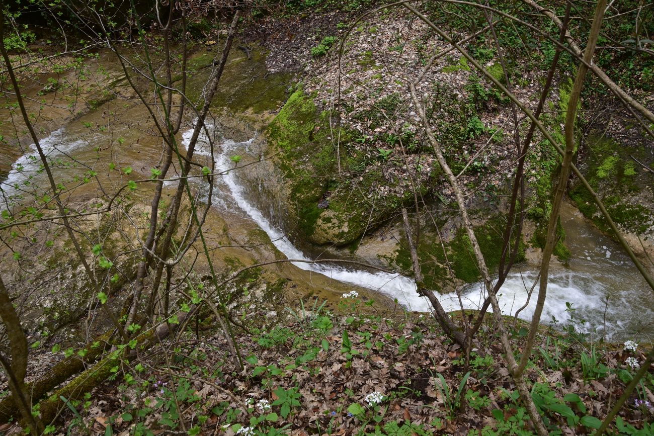 Долина реки Мишоко, image of landscape/habitat.