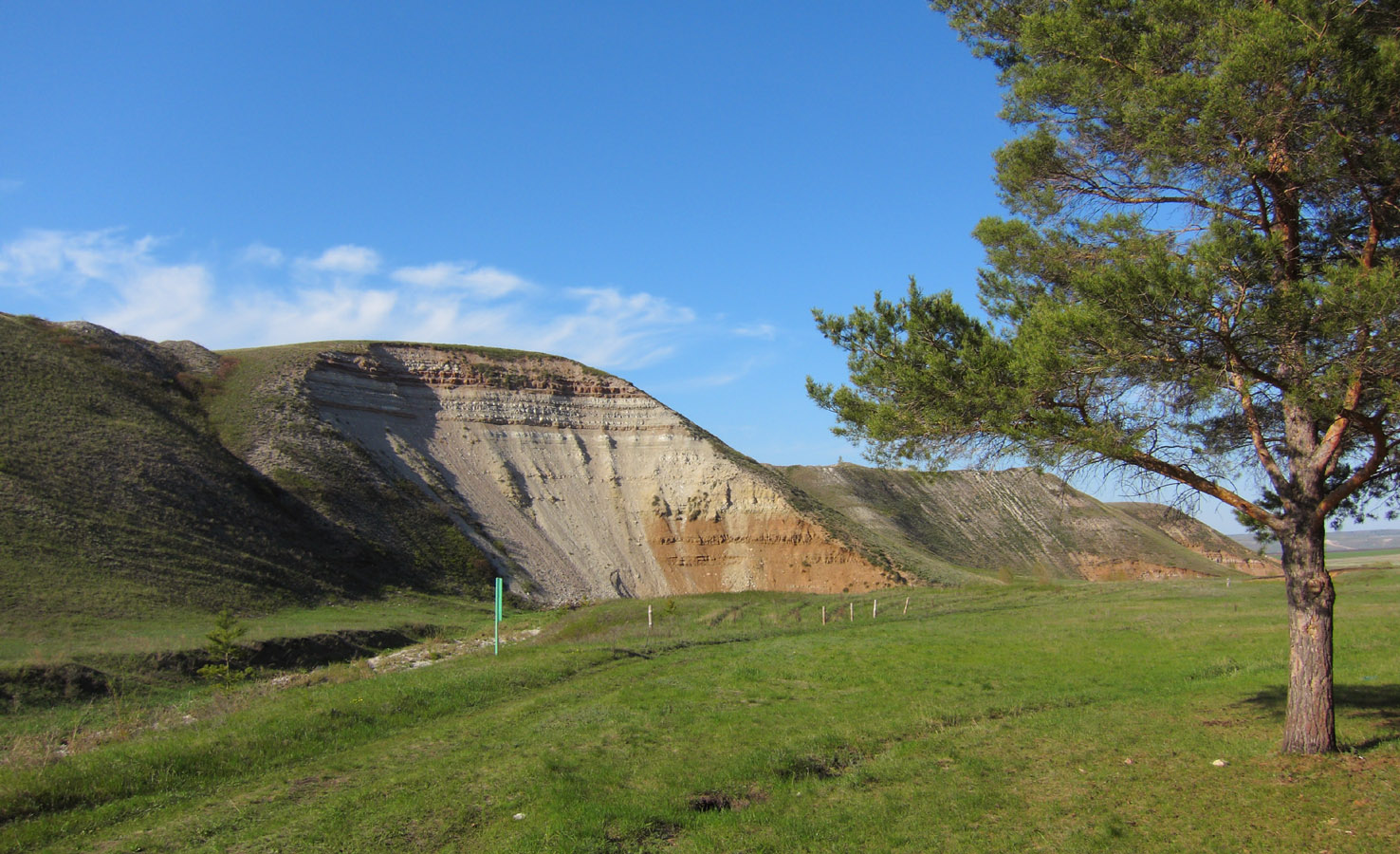 Салиховская гора, image of landscape/habitat.