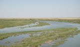 Байконур, image of landscape/habitat.