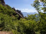 Image of landscape