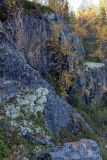 Река Ура, image of landscape/habitat.