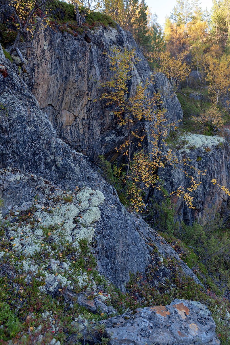 Река Ура, image of landscape/habitat.