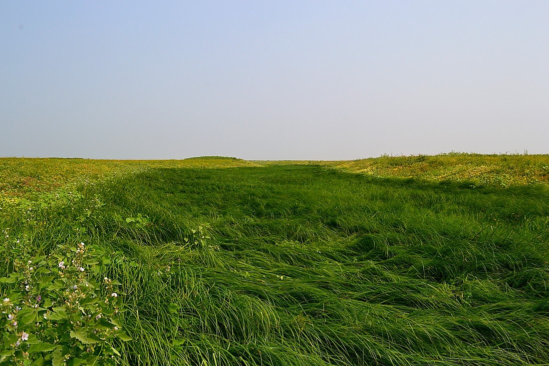 Вершина дельты Волги, image of landscape/habitat.