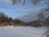 Москва Кузьминский лесопарк, image of landscape/habitat.