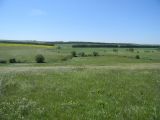 Image of landscape