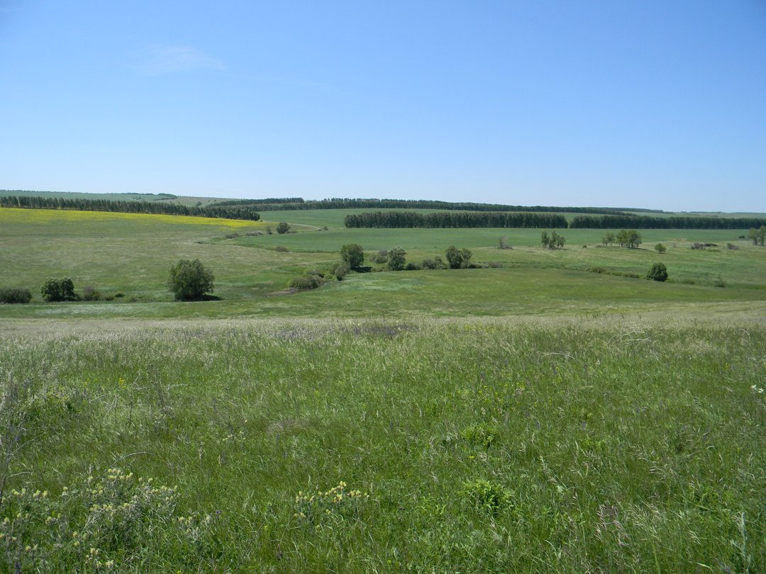 Склоны близ Грабовки, изображение ландшафта.
