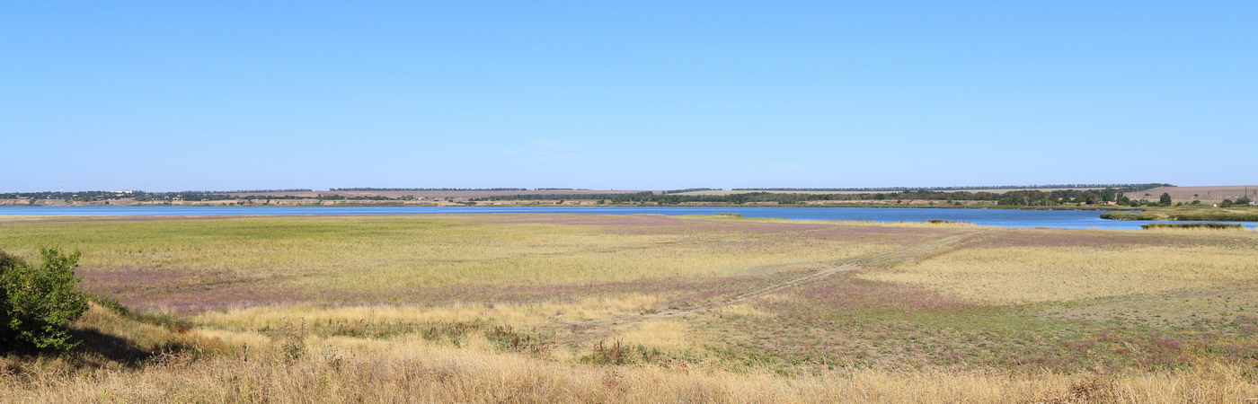 Берег Миусского лимана (Л с/п), image of landscape/habitat.