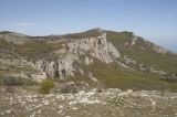 Image of landscape