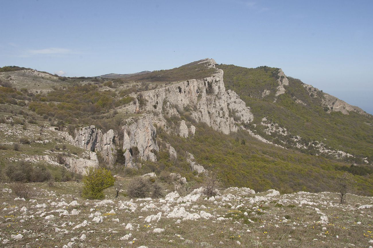 Окрестности скалы Биюк-Исар, image of landscape/habitat.