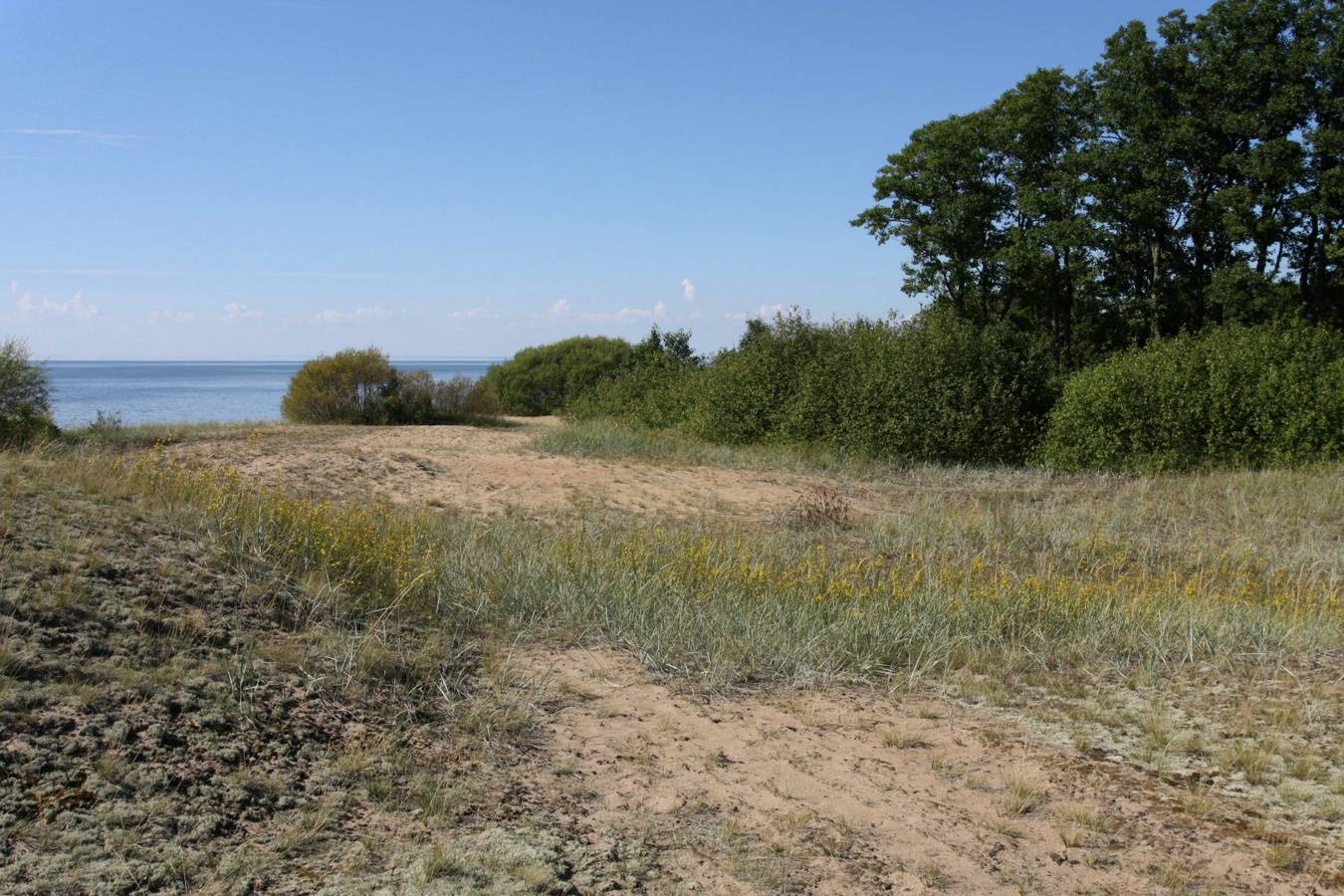 Окрестности Кленно, image of landscape/habitat.