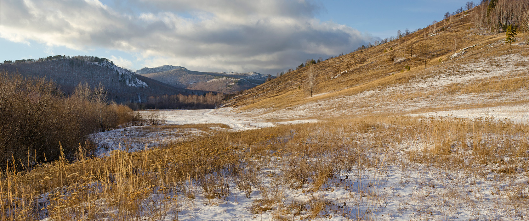 Окрестности Мусино, image of landscape/habitat.