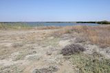 Айгульское озеро, image of landscape/habitat.