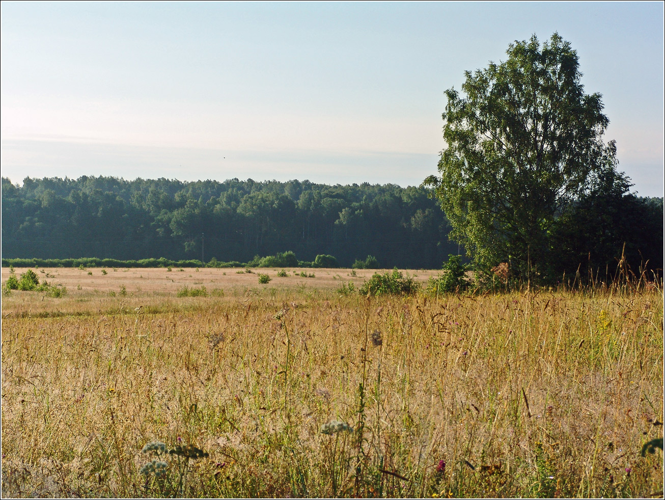Вазуза, изображение ландшафта.