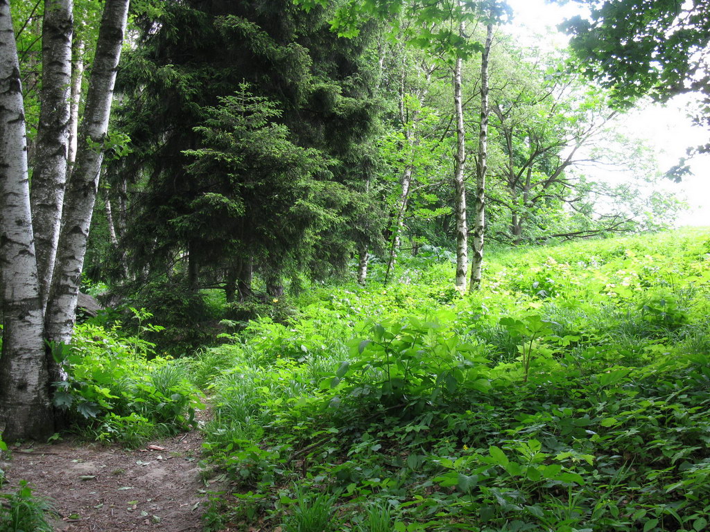 Ботсад им. Гришко, image of landscape/habitat.