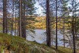 Image of landscape