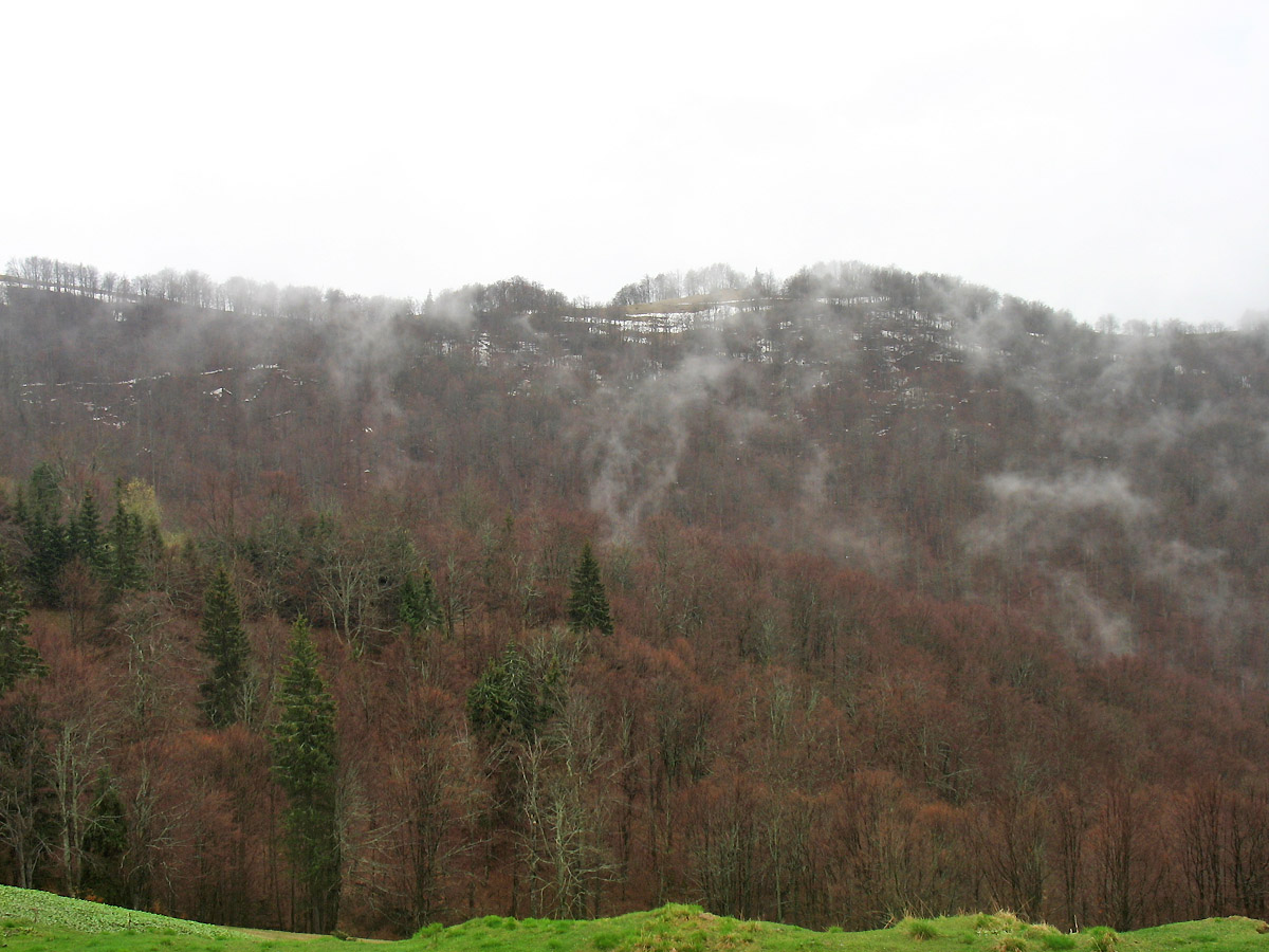 Окрестности села Квасы, image of landscape/habitat.