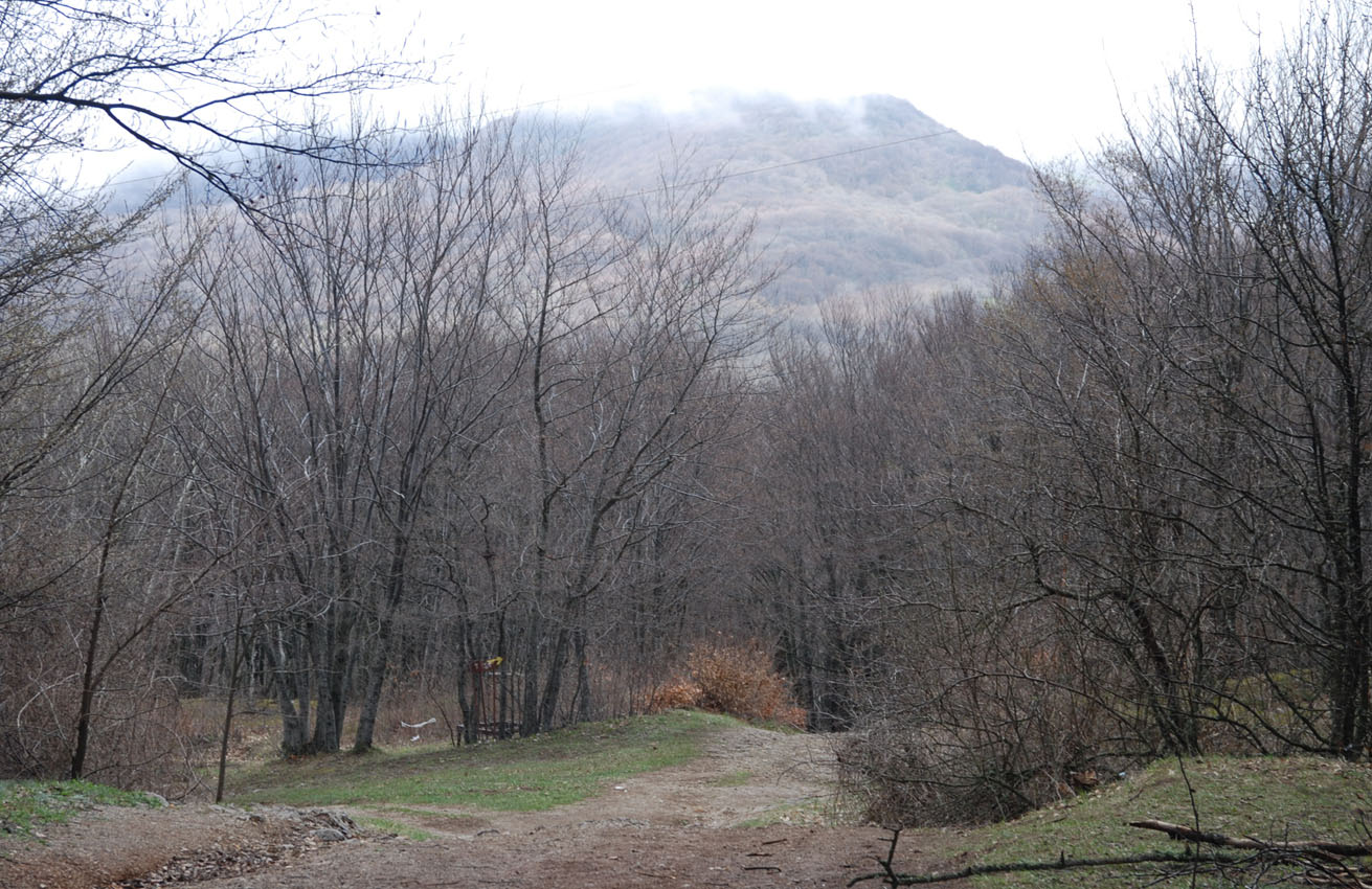 Ангарский перевал, image of landscape/habitat.