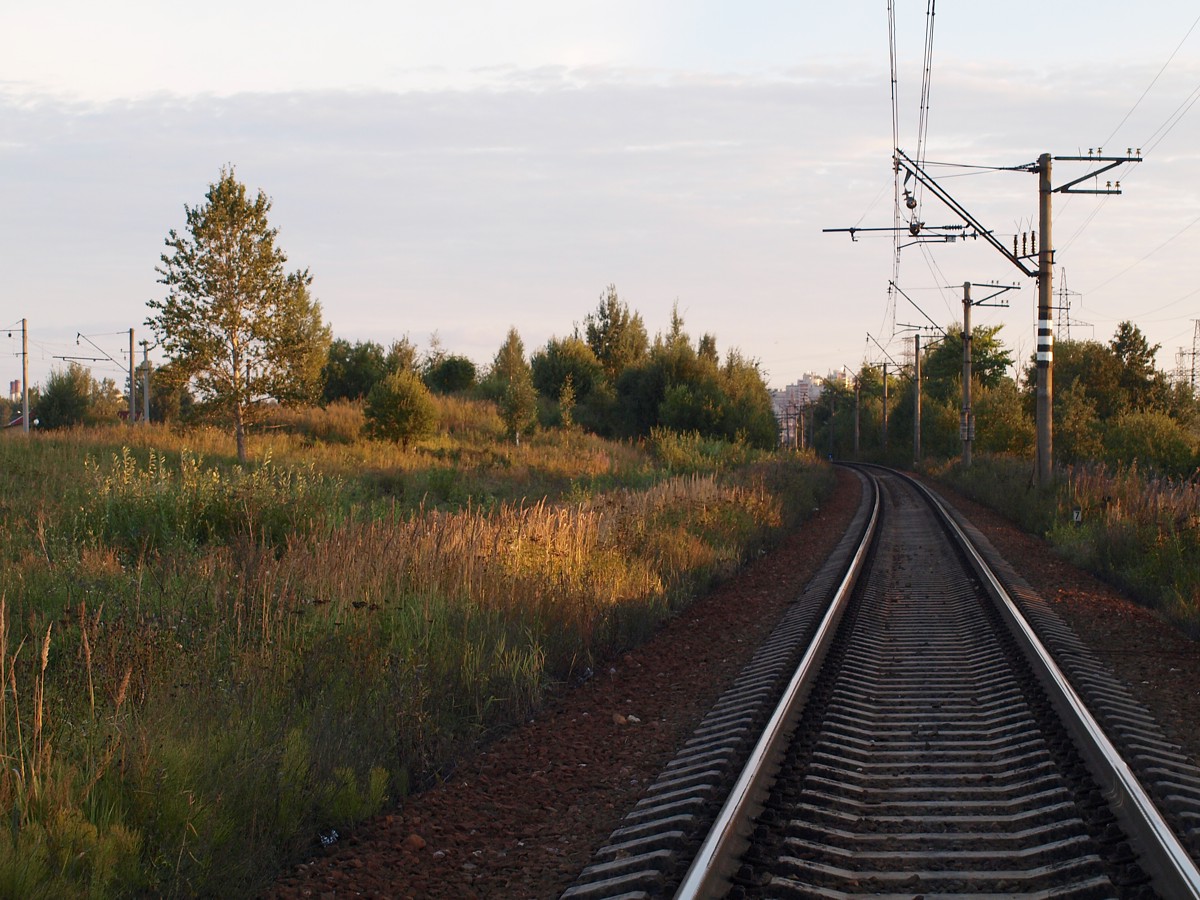 Девяткино, image of landscape/habitat.