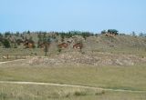Image of landscape