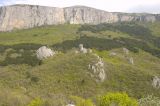 Окрестности скалы Биюк-Исар, image of landscape/habitat.