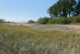 Окрестности Кленно, image of landscape/habitat.