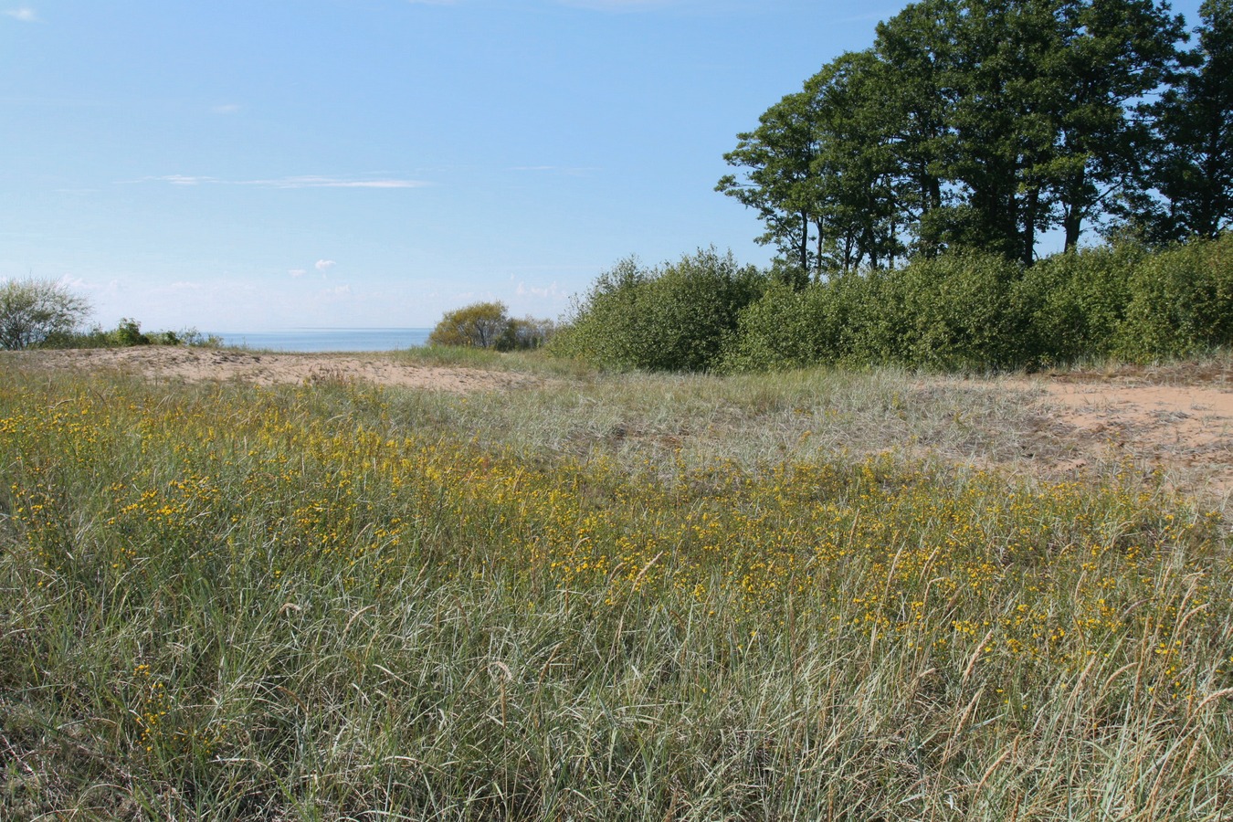 Окрестности Кленно, image of landscape/habitat.