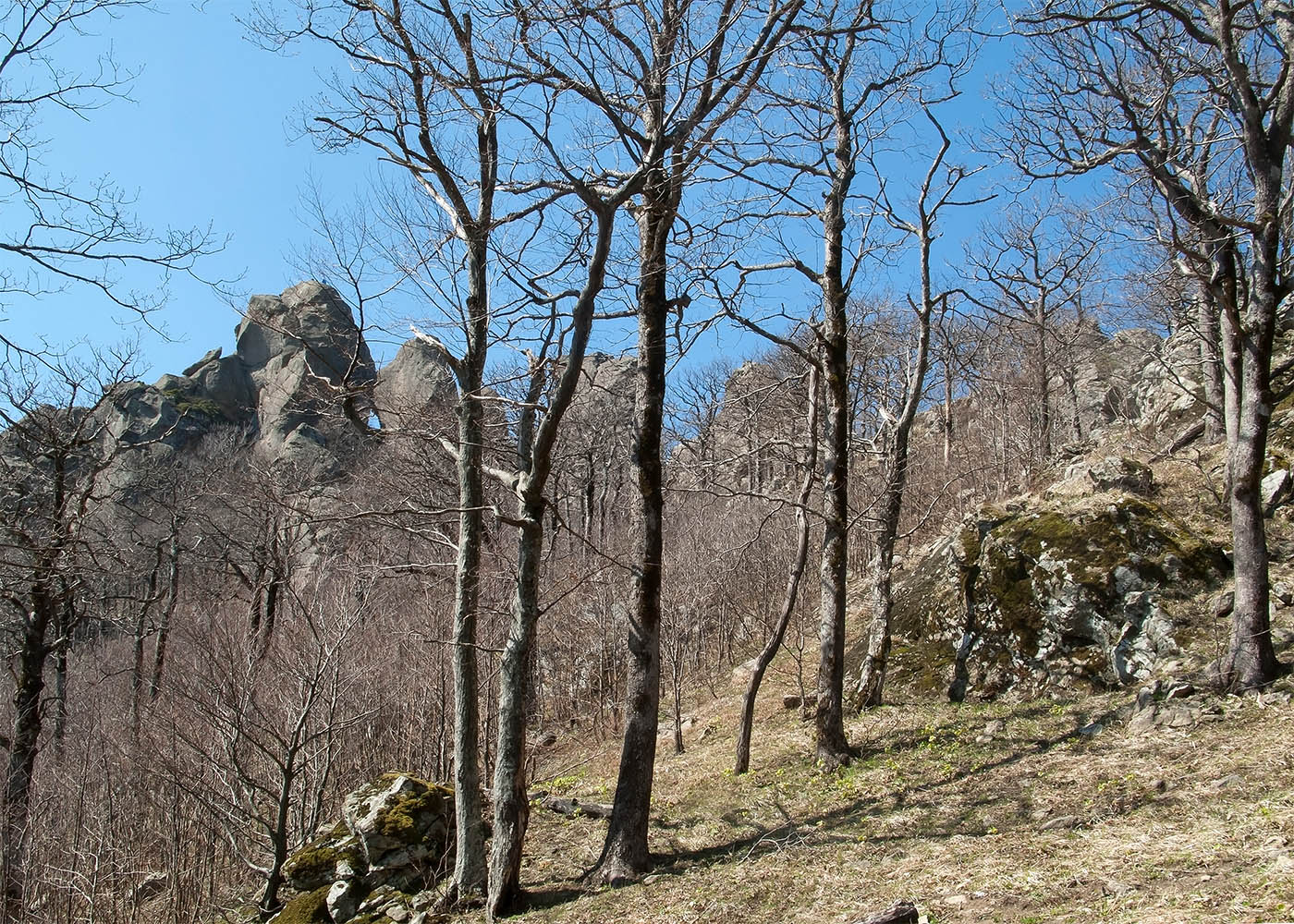 Гора Индюк, image of landscape/habitat.