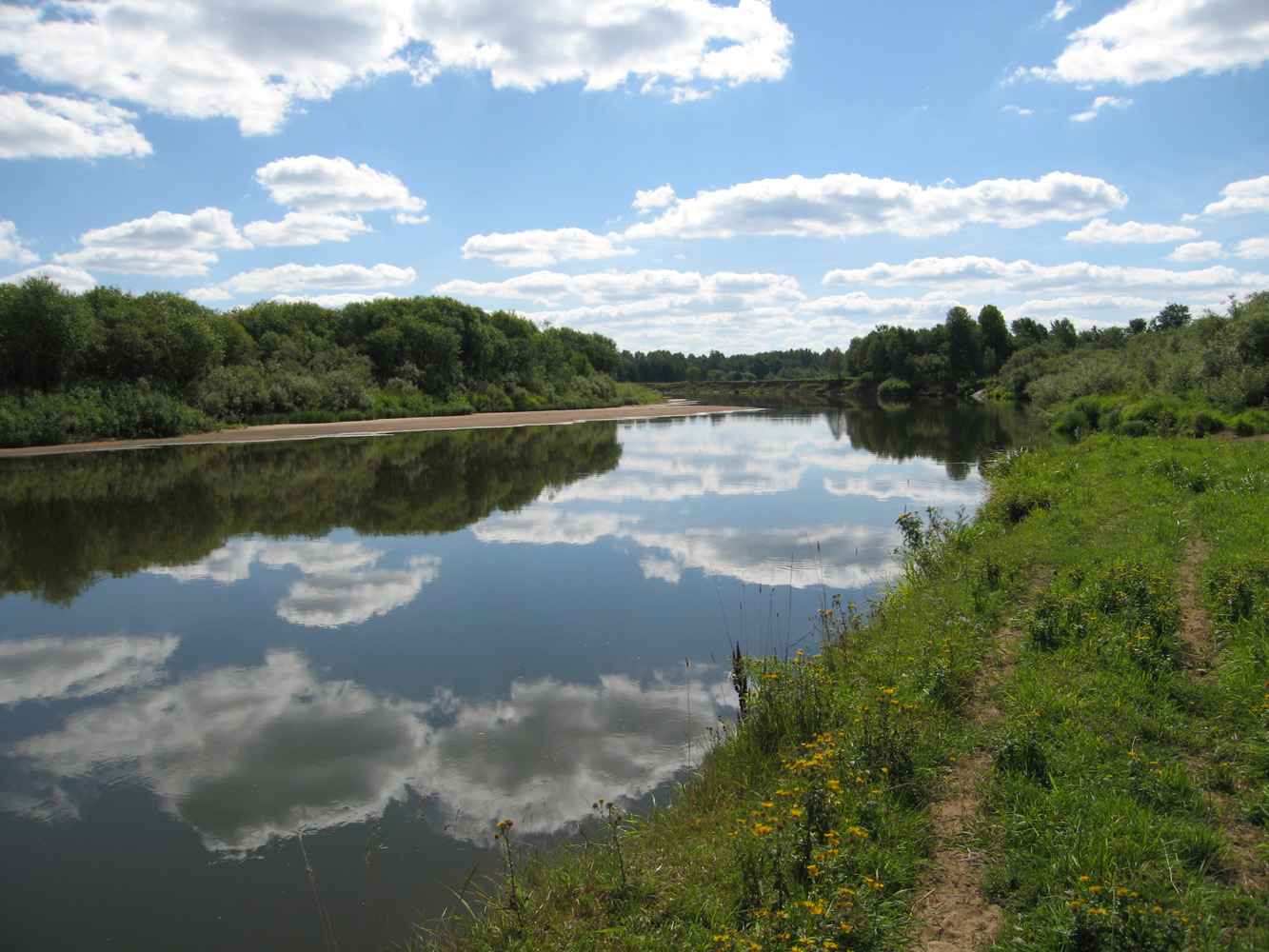 Пойма реки Нея, image of landscape/habitat.