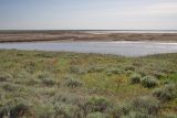 Эльтон, image of landscape/habitat.