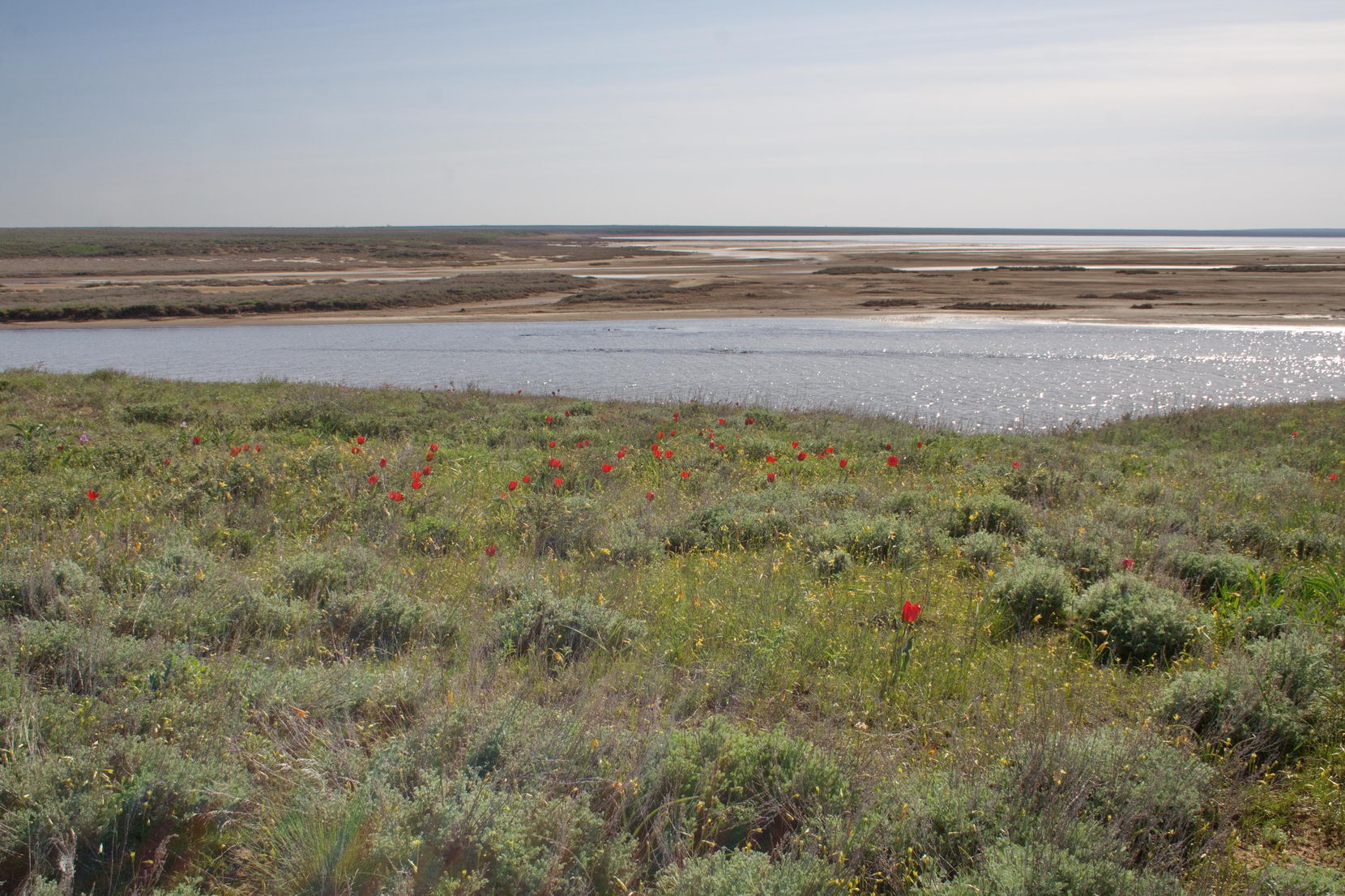 Эльтон, image of landscape/habitat.
