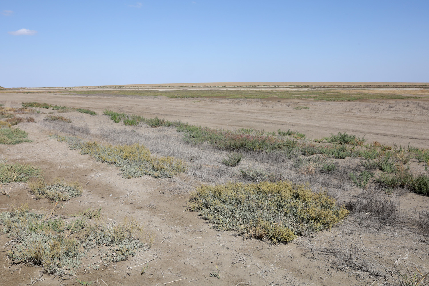 Айгульское озеро, image of landscape/habitat.