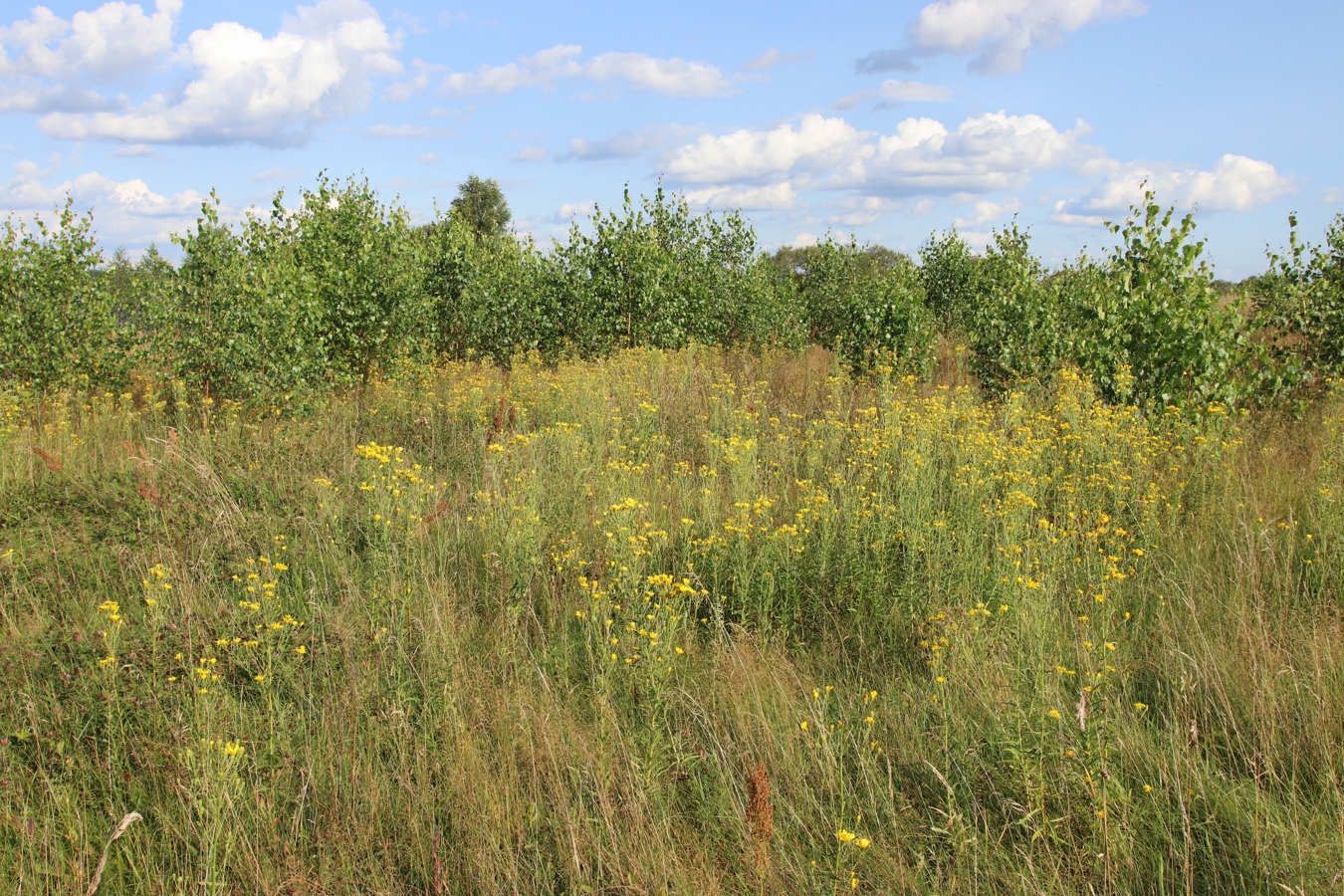 Езерище и окрестности, image of landscape/habitat.