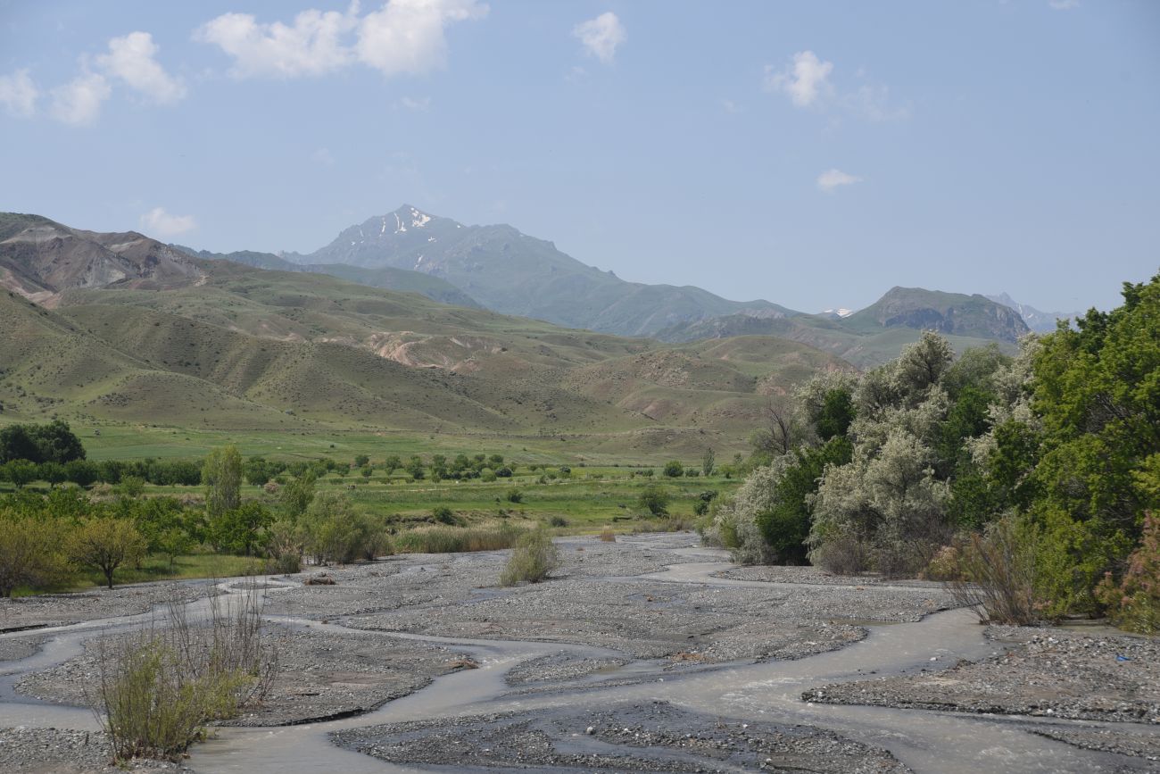 Устье Акчай, image of landscape/habitat.