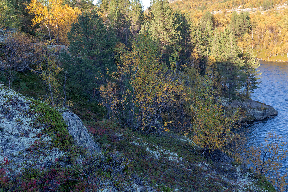 Река Ура, image of landscape/habitat.