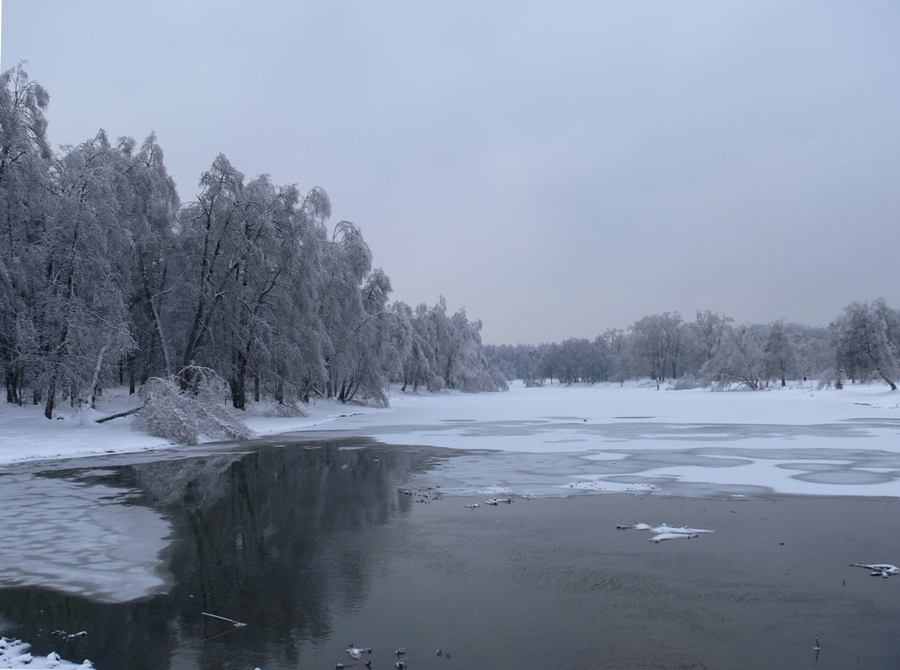 Москва Кузьминский лесопарк, image of landscape/habitat.