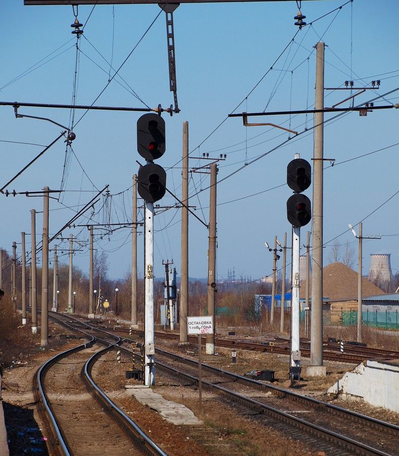 Девяткино, image of landscape/habitat.