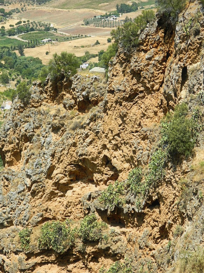 Ронда, image of landscape/habitat.