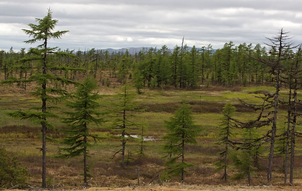 Вал, image of landscape/habitat.