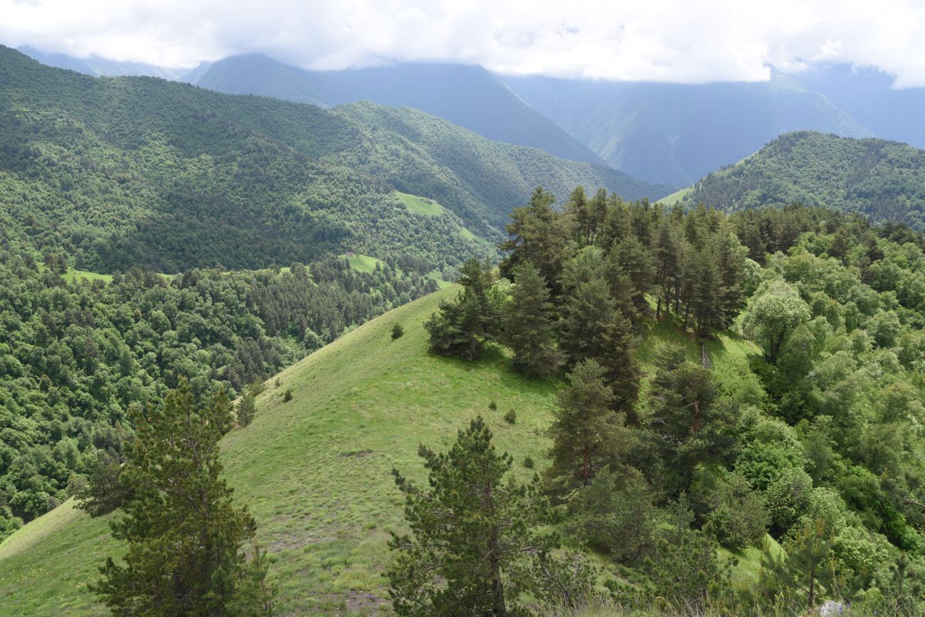 Окрестности урочища Мухул, image of landscape/habitat.