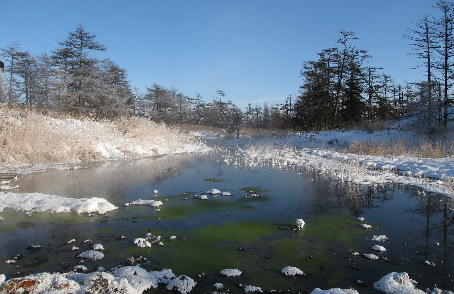 Горячие Ключи, image of landscape/habitat.