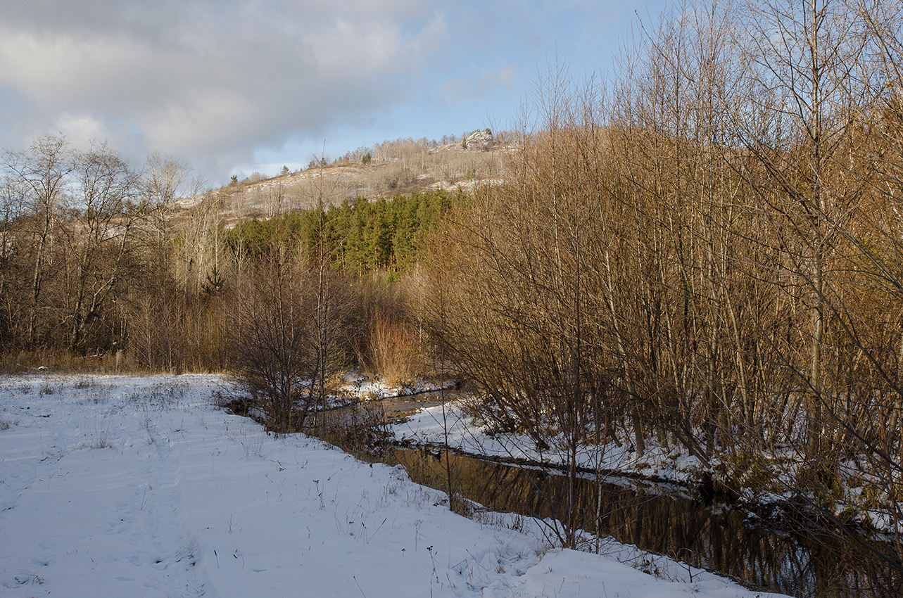 Окрестности Мусино, image of landscape/habitat.