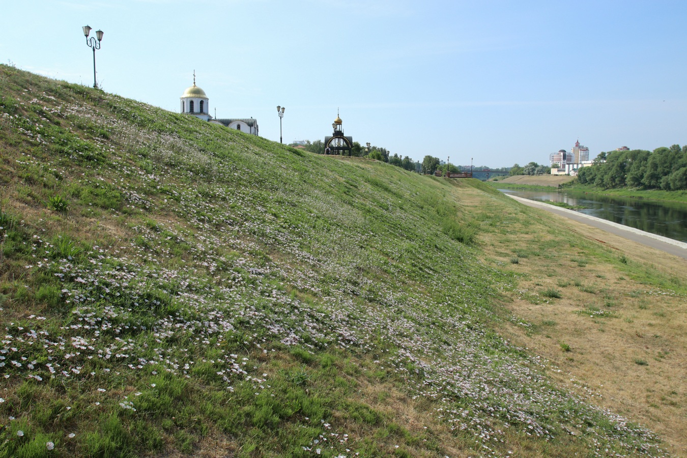 Центр Витебска, изображение ландшафта.