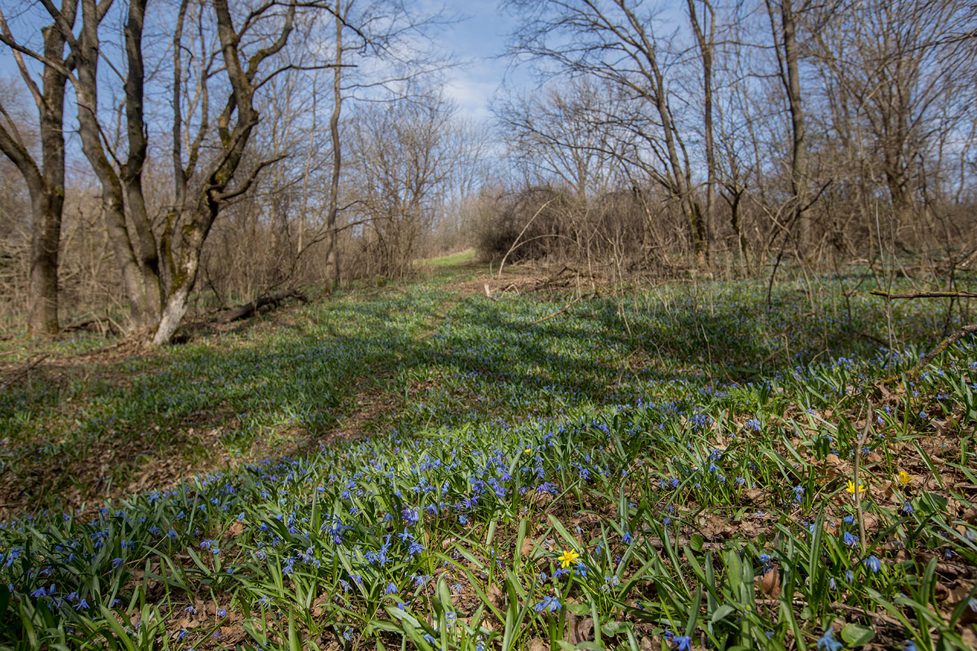 Тузловские склоны, image of landscape/habitat.