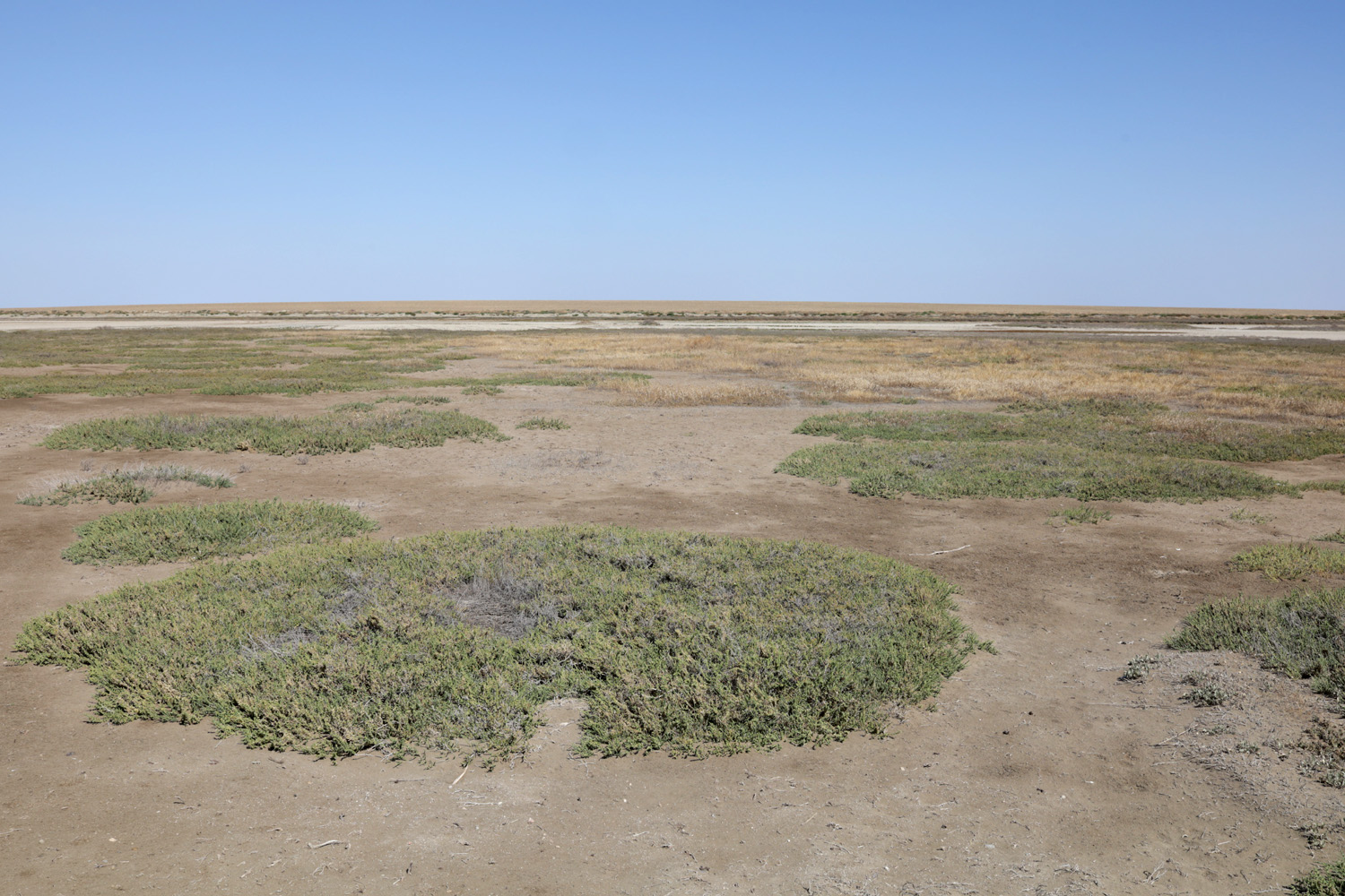 Айгульское озеро, image of landscape/habitat.