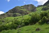 Водопад Чанчкери, image of landscape/habitat.