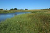 Местечко и окрестности, image of landscape/habitat.
