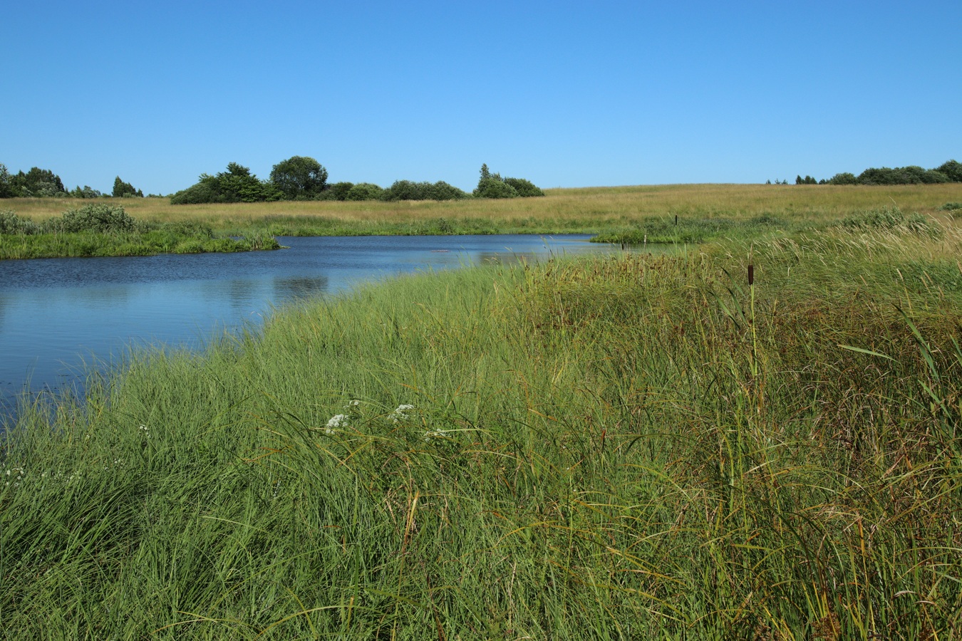 Местечко и окрестности, image of landscape/habitat.