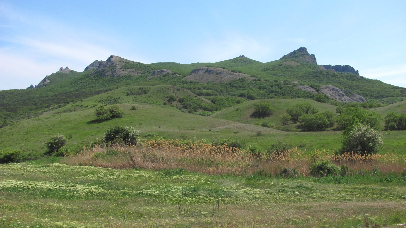 Карадаг, image of landscape/habitat.