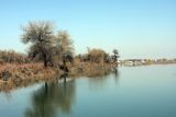 Image of landscape