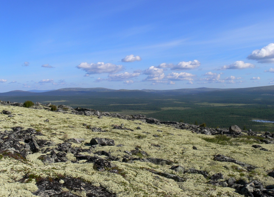 Мончегорск, изображение ландшафта.